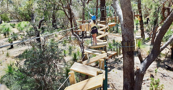 yanchep-national-park-capricorn (2)