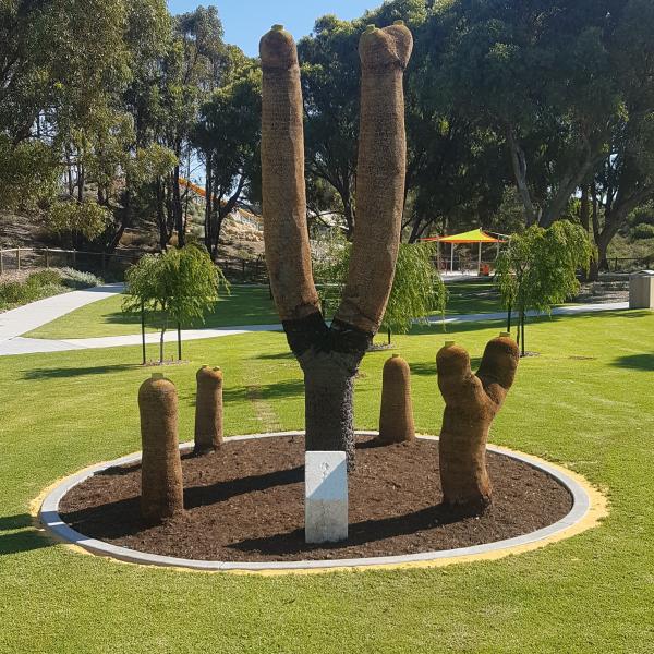 1000yo Grasstree Finds New Home