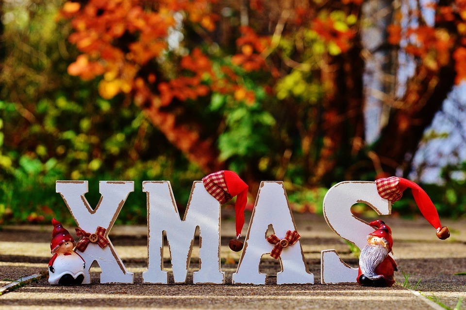 What’s On This Summer in Capricorn Yanchep