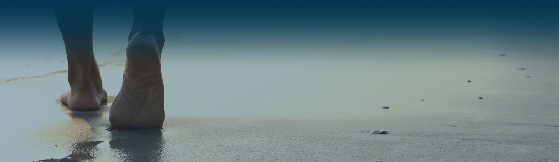 A horse walking on Capricorn Beach with its feet in the water, enjoying a serene moment by the sea.